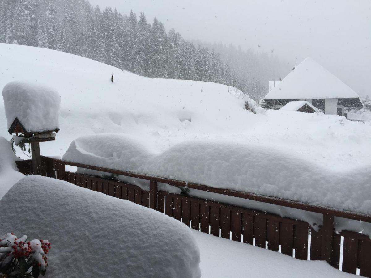 Cafe - Pension Bernreutehof Vöhrenbach Exteriör bild