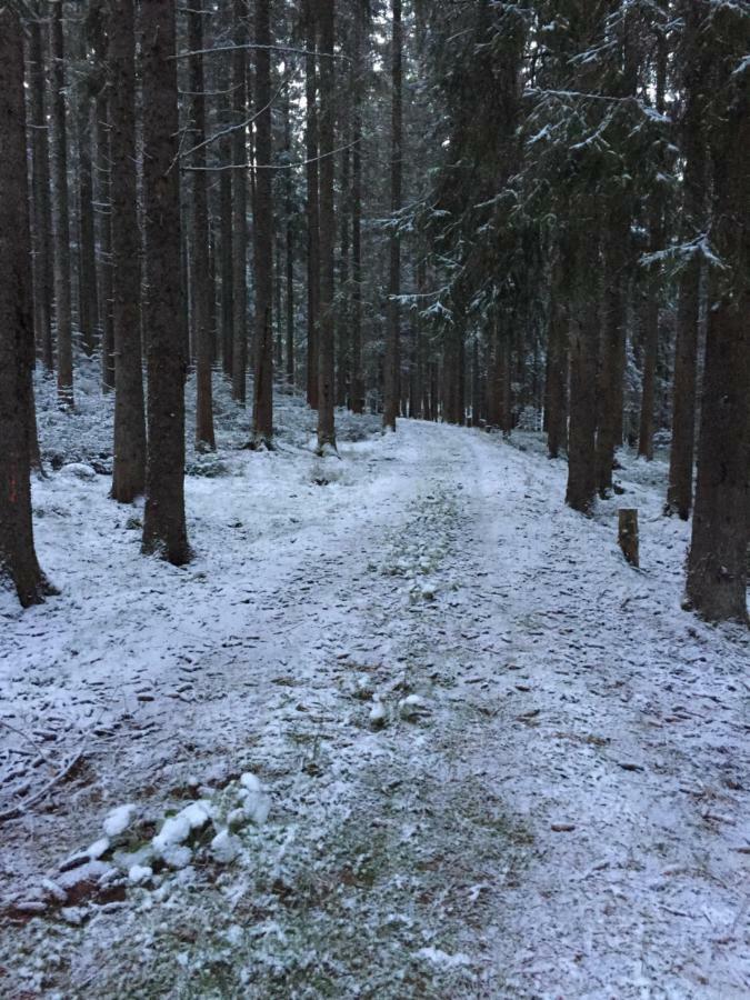 Cafe - Pension Bernreutehof Vöhrenbach Exteriör bild