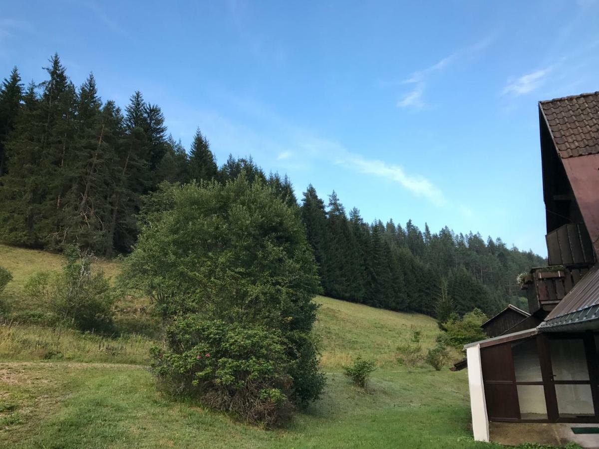 Cafe - Pension Bernreutehof Vöhrenbach Exteriör bild